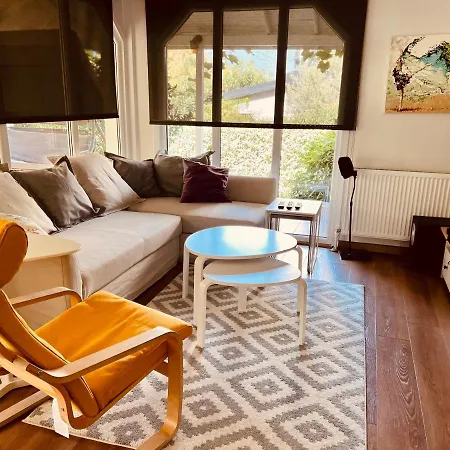 Luxury Villas With Shared Pool Near By John Hopkins Darıca